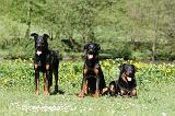 BEAUCERON 904